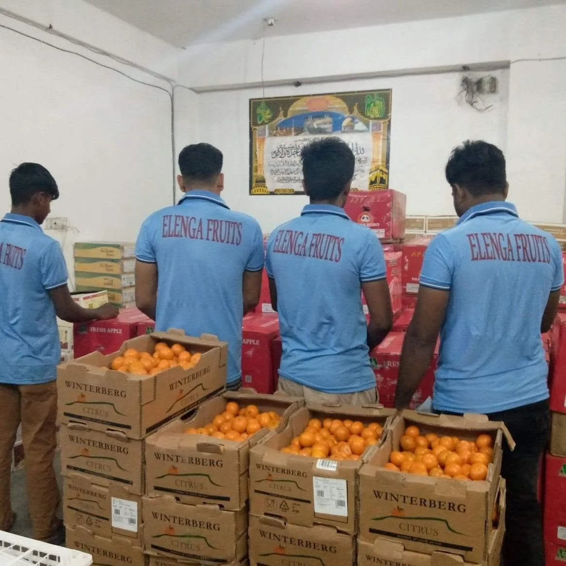 Elenga Fruits operations