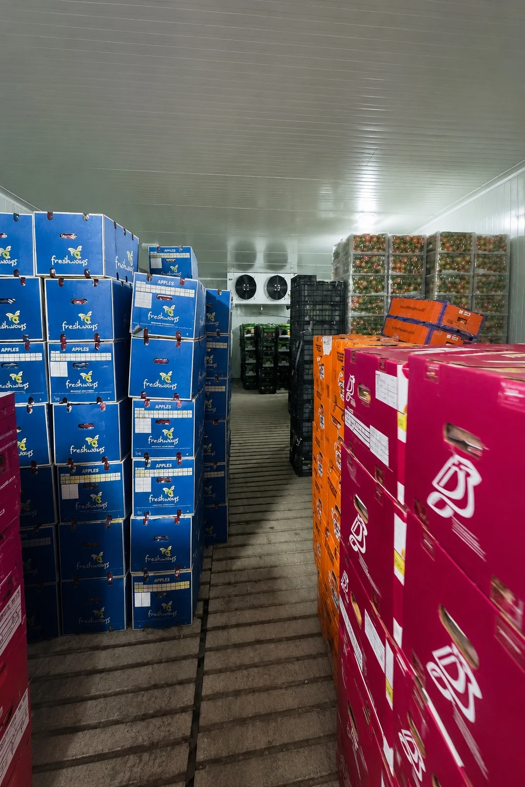 Miqdaad Cold Storage — Fruit inventory inside the cold room